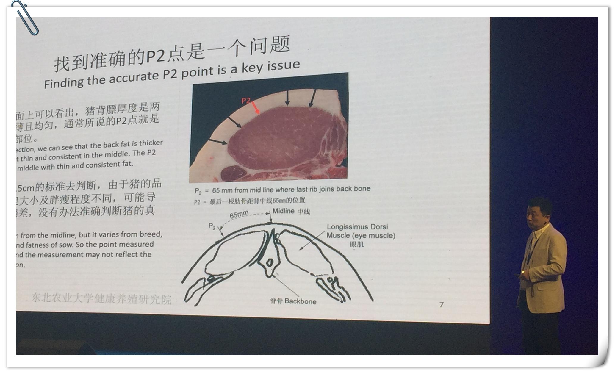 P2_副本.jpg