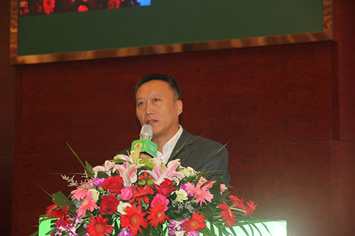 王大慶