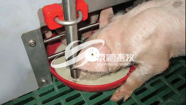 微信圖片_20190424091219.jpg