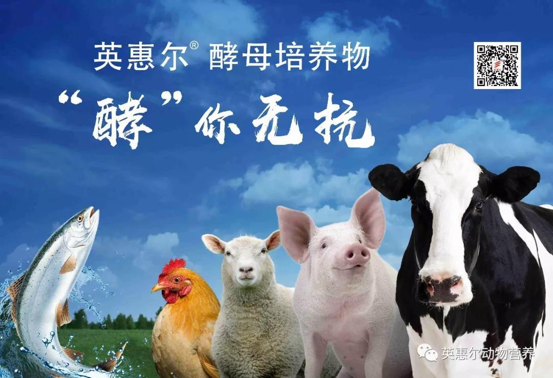 微信圖片_20190517203107.jpg