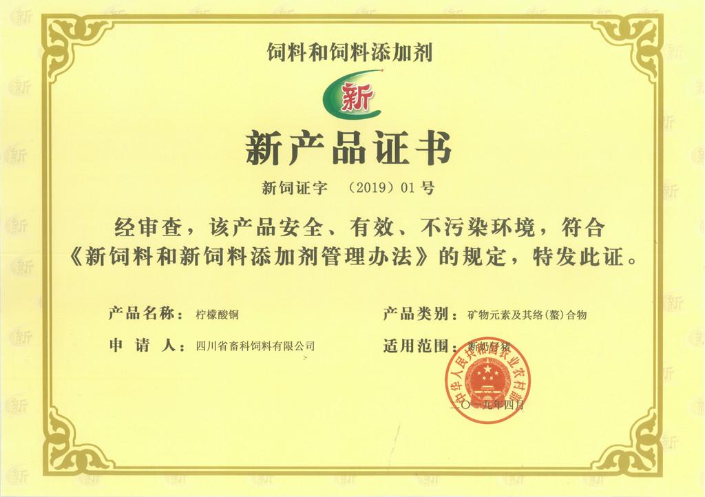 news08.jpg