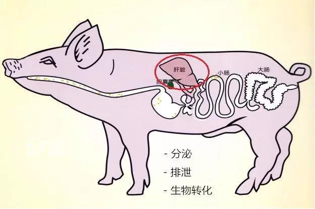 微信圖片_20190601101910.jpg