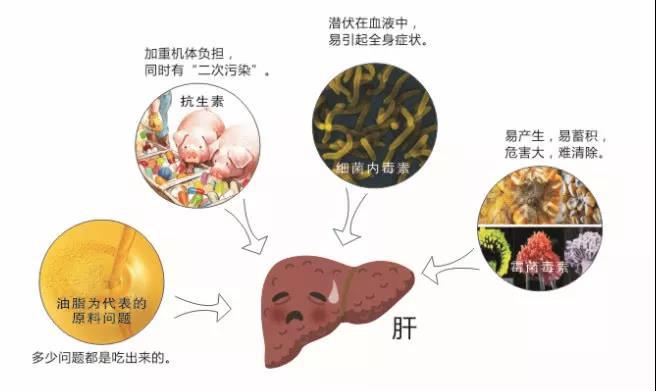 微信圖片_20190601101940.jpg