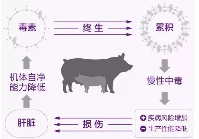 微信圖片_20190601101945.jpg