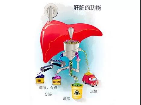 微信圖片_20190601102020.jpg