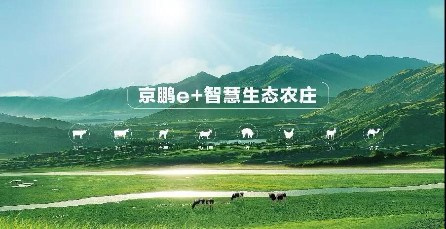 微信圖片_20190709143538.jpg