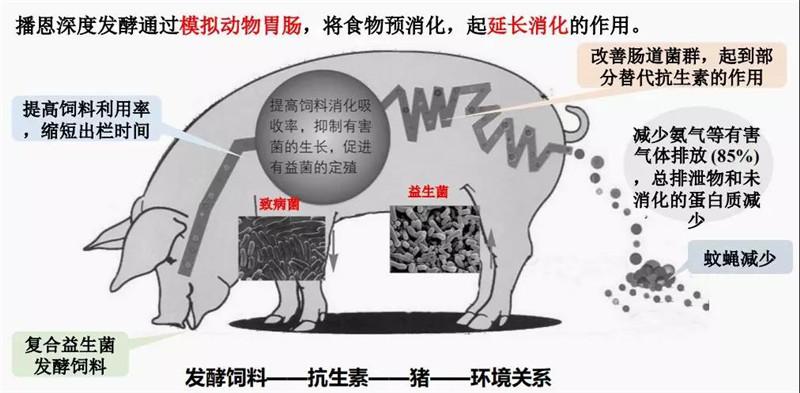 3939_副本.jpg