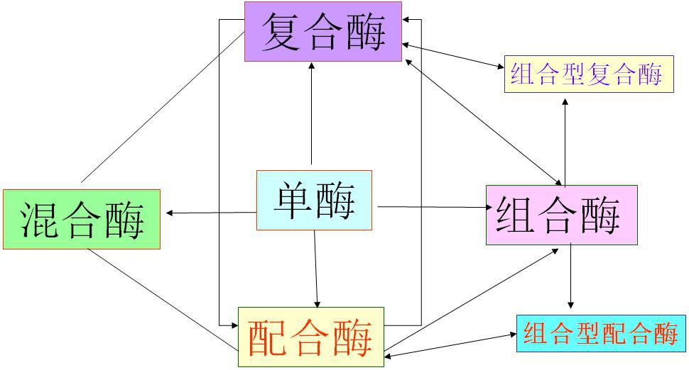 馮定遠1.jpg