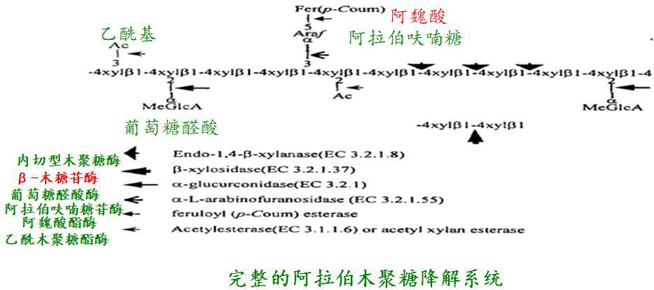 馮定遠2.jpg
