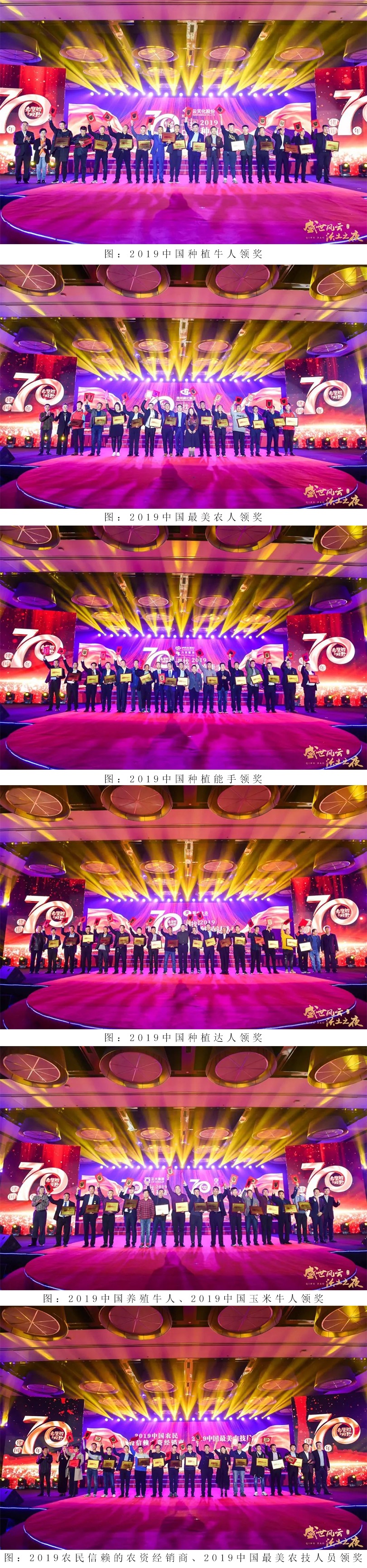 拼圖2.jpg