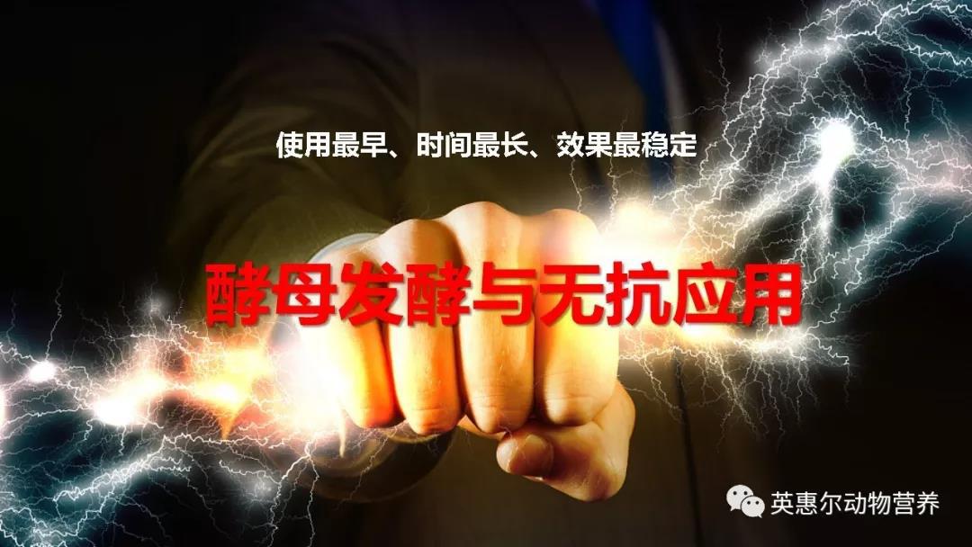 1576632218249966.jpg 微信圖片_20191218085737.jpg