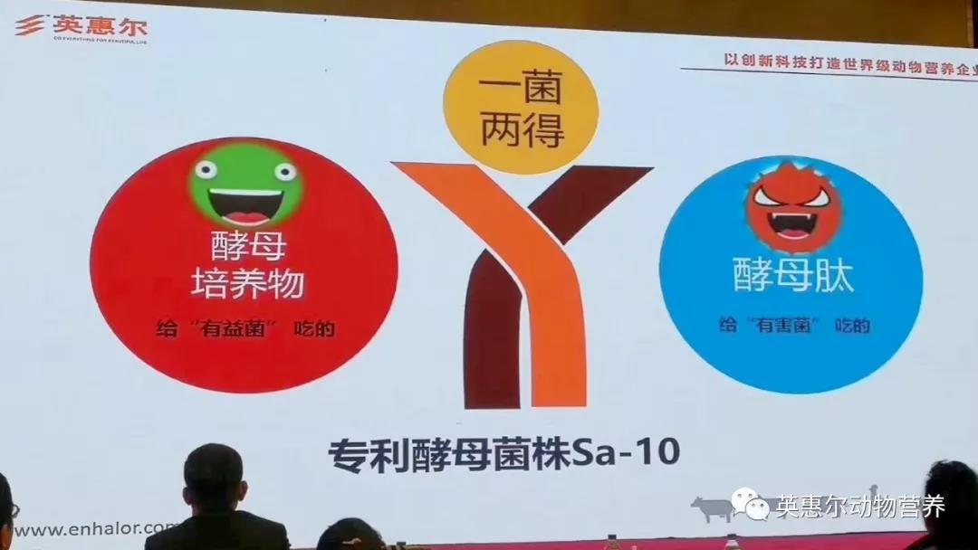 1576632242864206.jpg 微信圖片_20191218085740.jpg