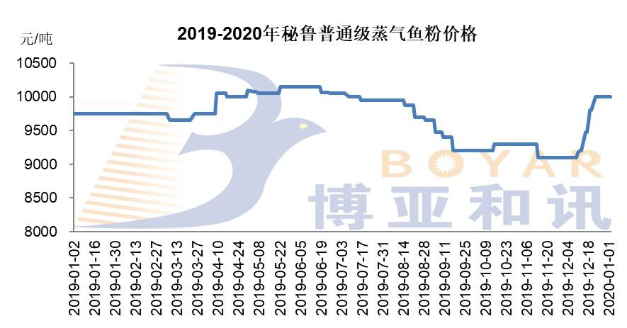 秘魯魚粉價(jià)格.jpg