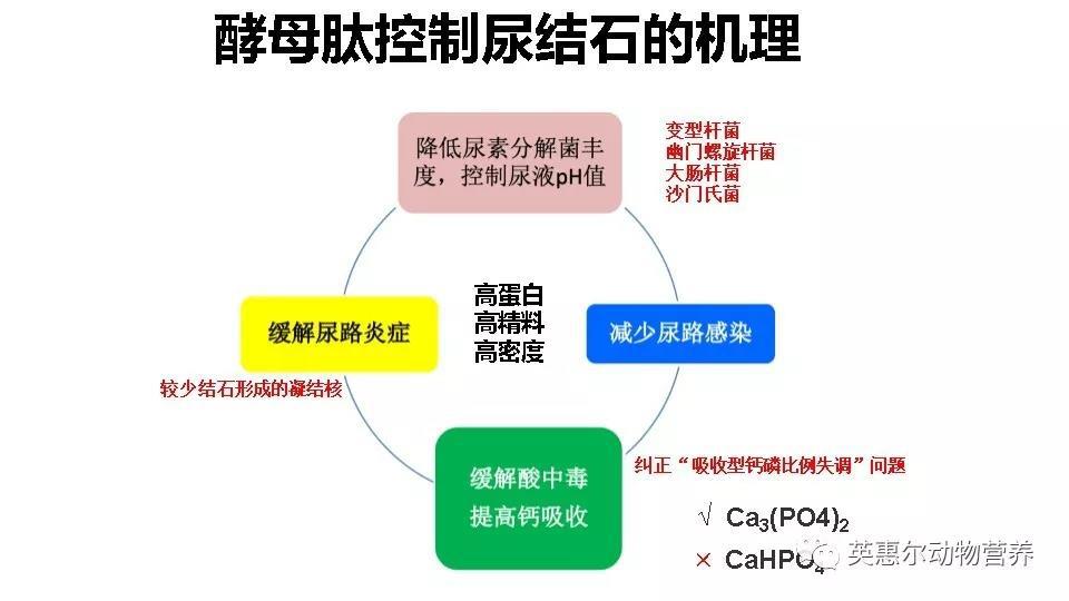 微信圖片_20200117142533.jpg