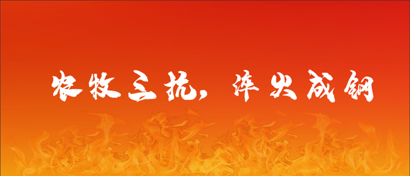 圖片1_副本.png