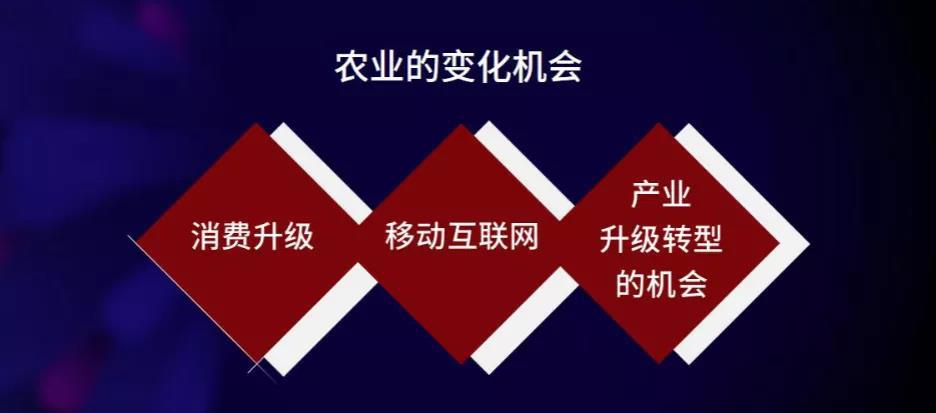 微信圖片_20200522150812.jpg