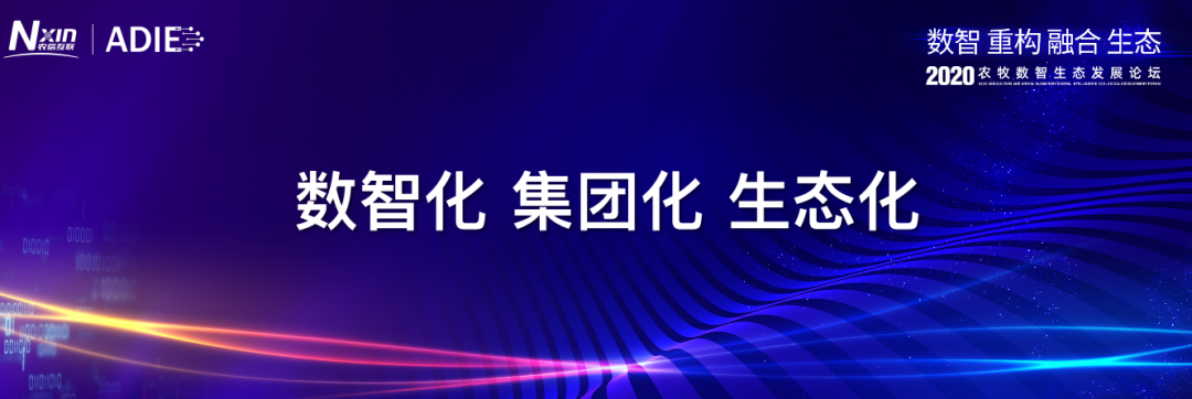 1602841129493449.png
