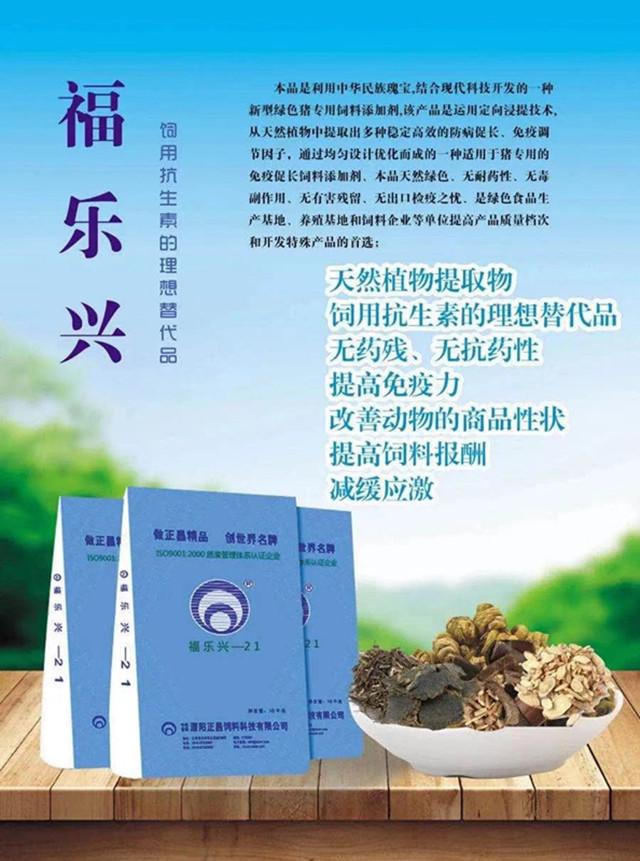 圖4_副本.jpg
