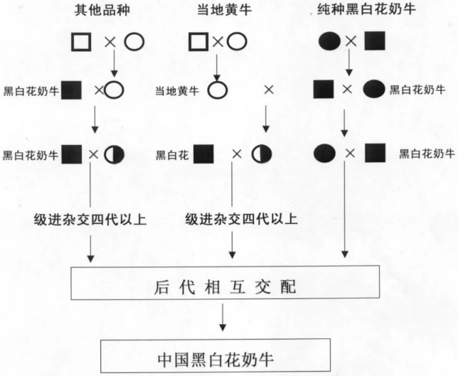 1615862723699477.png image.png