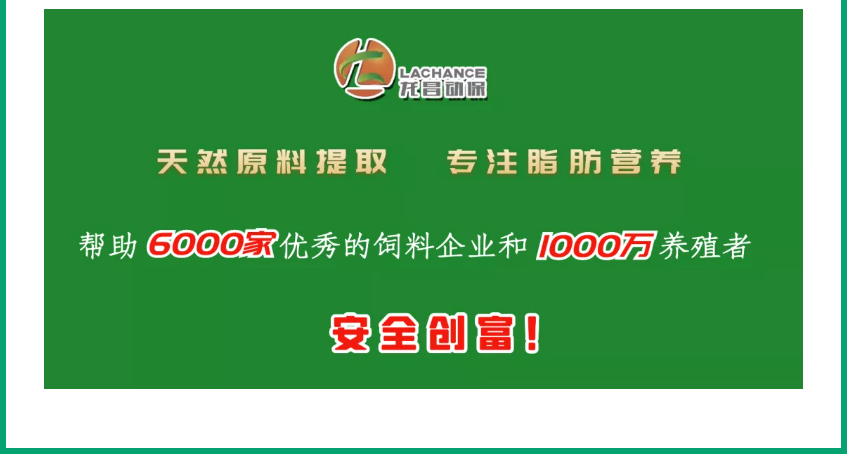 1639388095389900.png