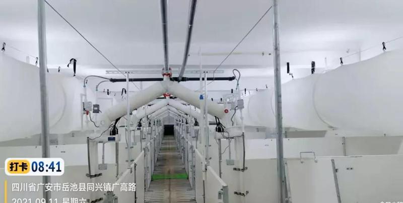 5505_副本.jpg