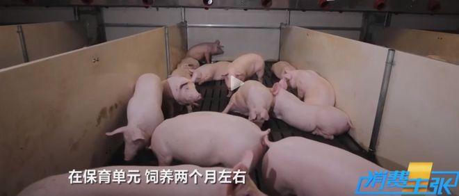 1681269476890540.jpg 1.jpg