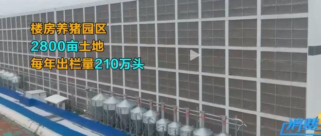 1681269485390551.jpg 2.jpg