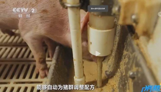 1681269523742640.jpg 4.jpg