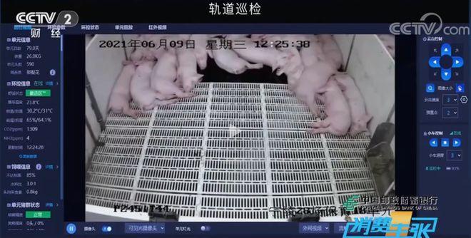 1681269532141382.jpg 5.jpg