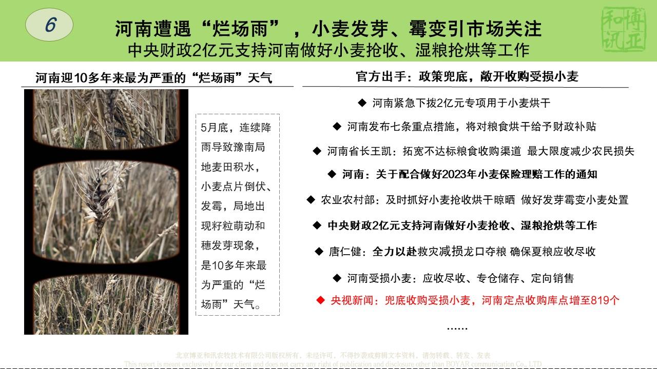 幻燈片8.JPG