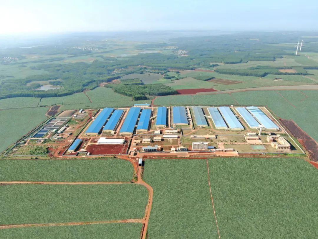 1700443782100078.jpg 1.jpg