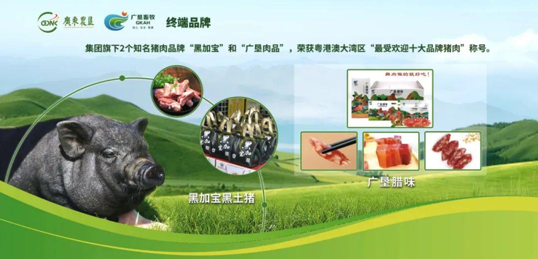 1700443826459961.jpg 4.jpg