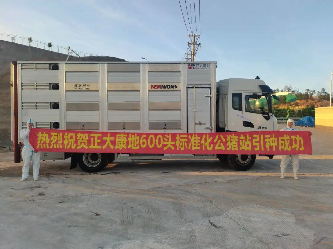 1700472838109116.jpg 1.jpg