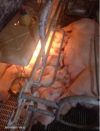 1703573296386943.png 417.png