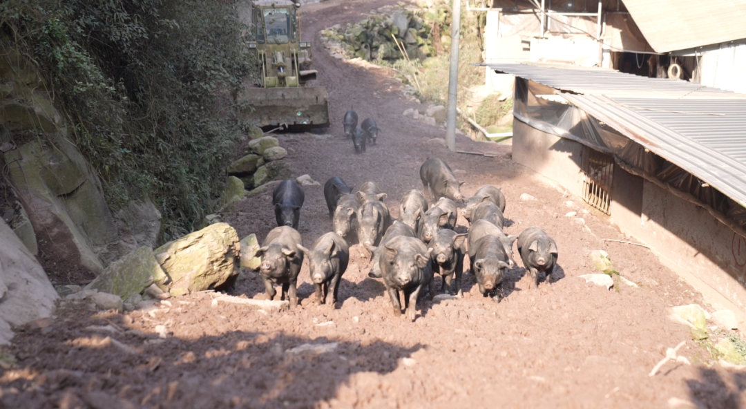 1704355196190082.png 3.png