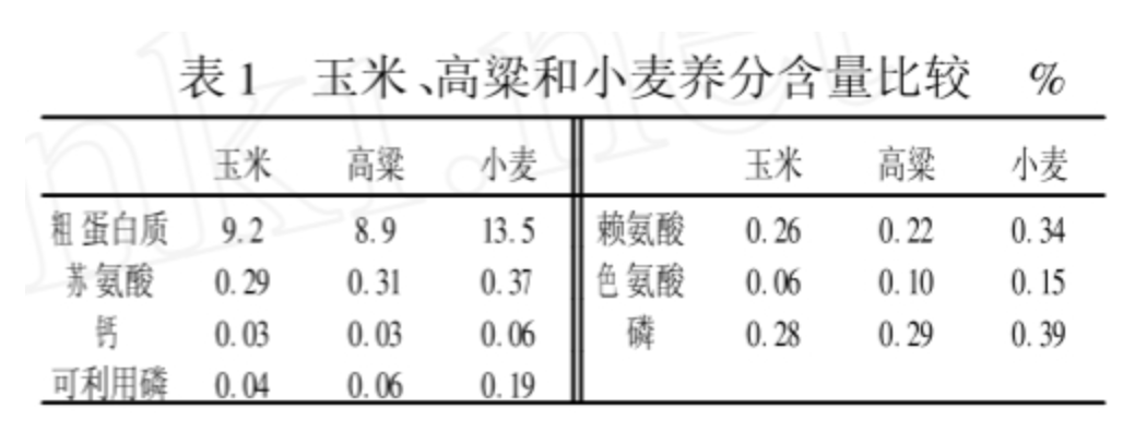 截圖20240516083222.png