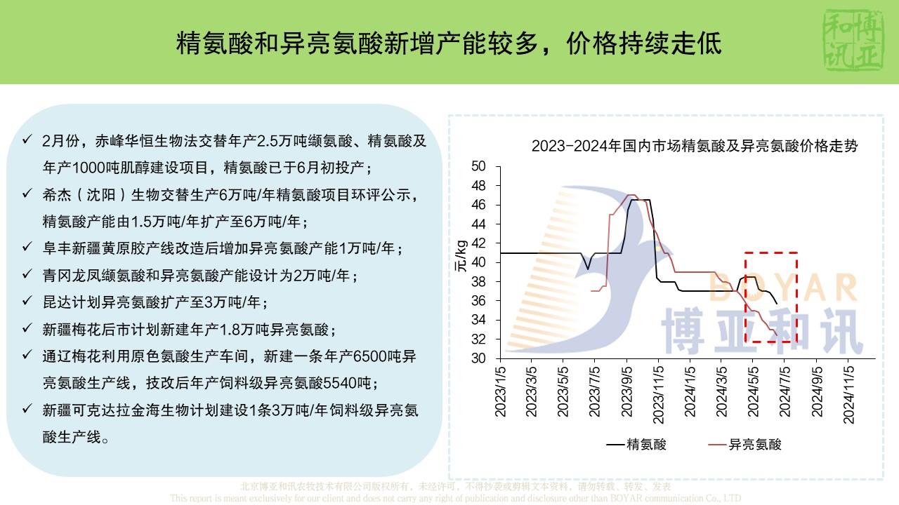 幻燈片9.JPG