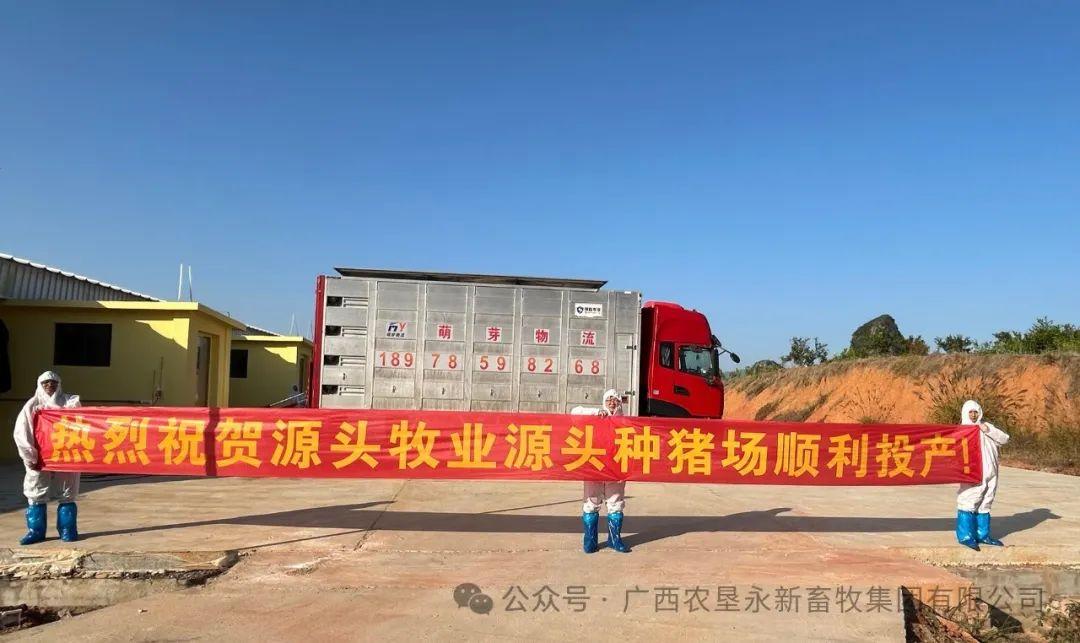 1733360308888190.jpg 640.jpg