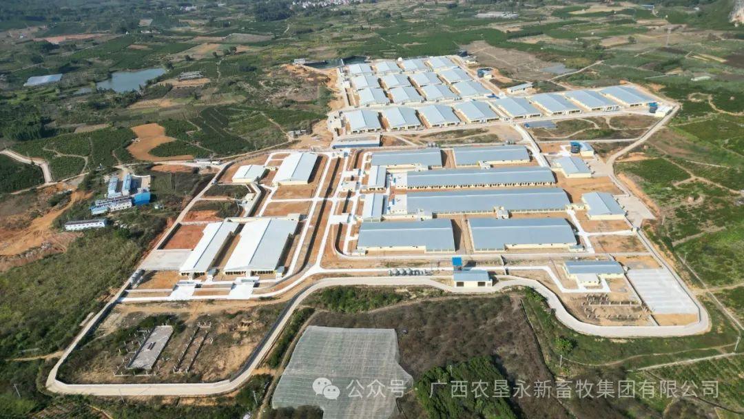 1733360316839710.jpg 640 (1).jpg