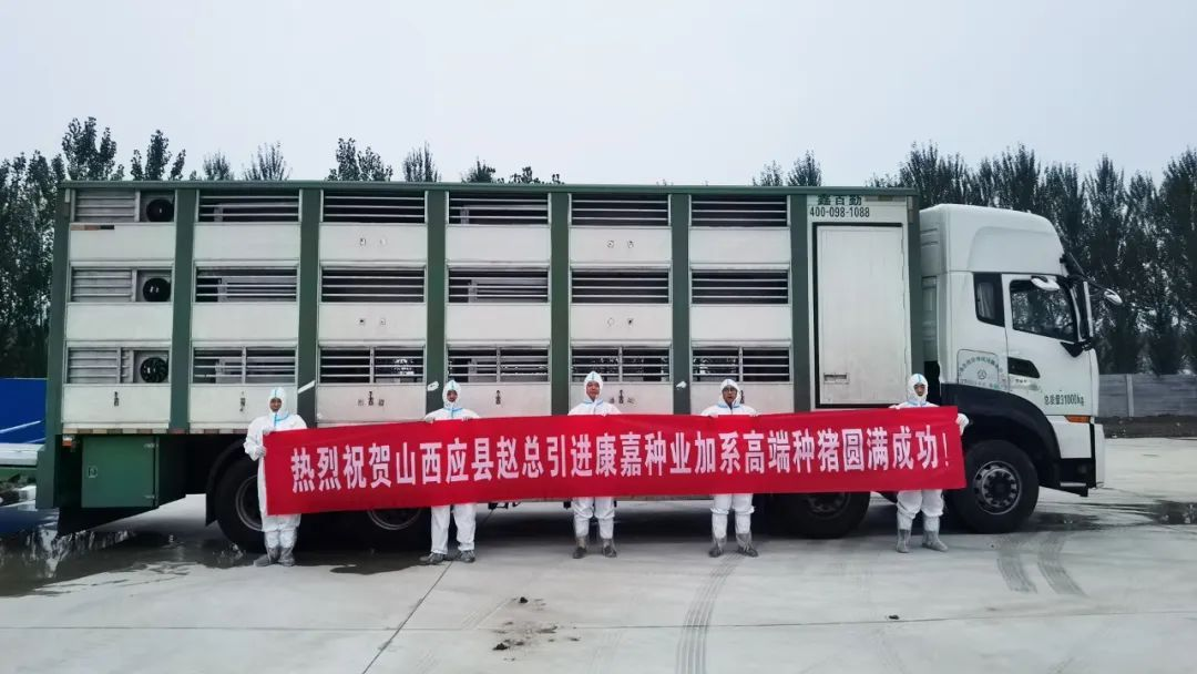 1734660335806580.png 1.png