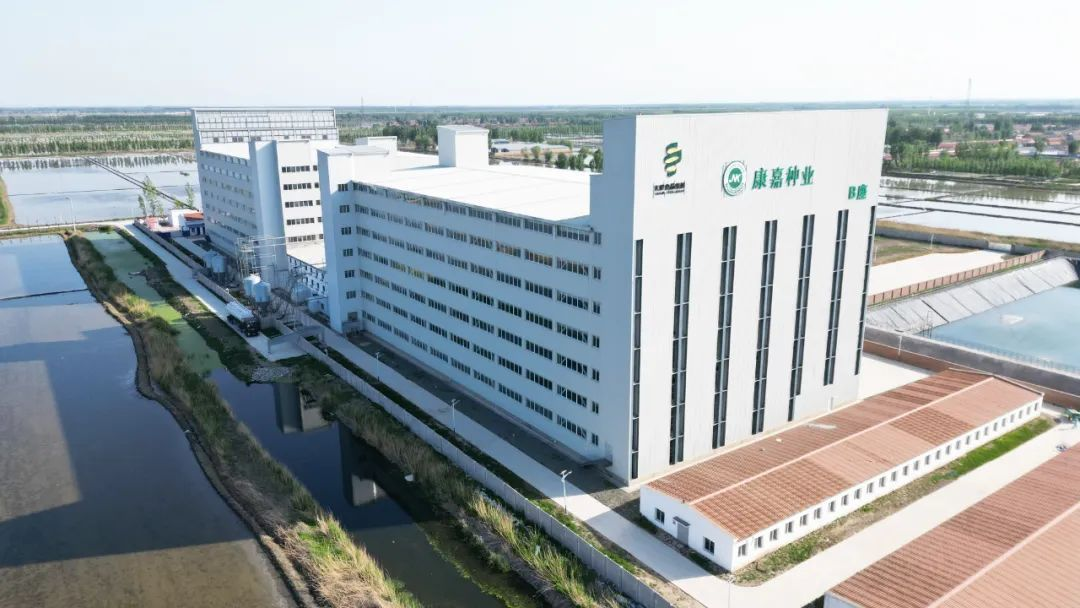 1734660374853869.png 3.png