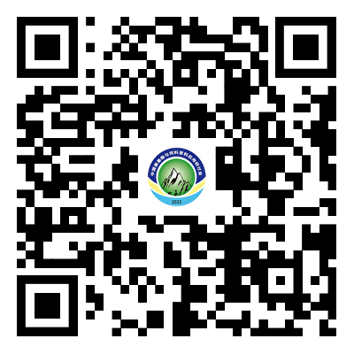 1736227704427167.png
