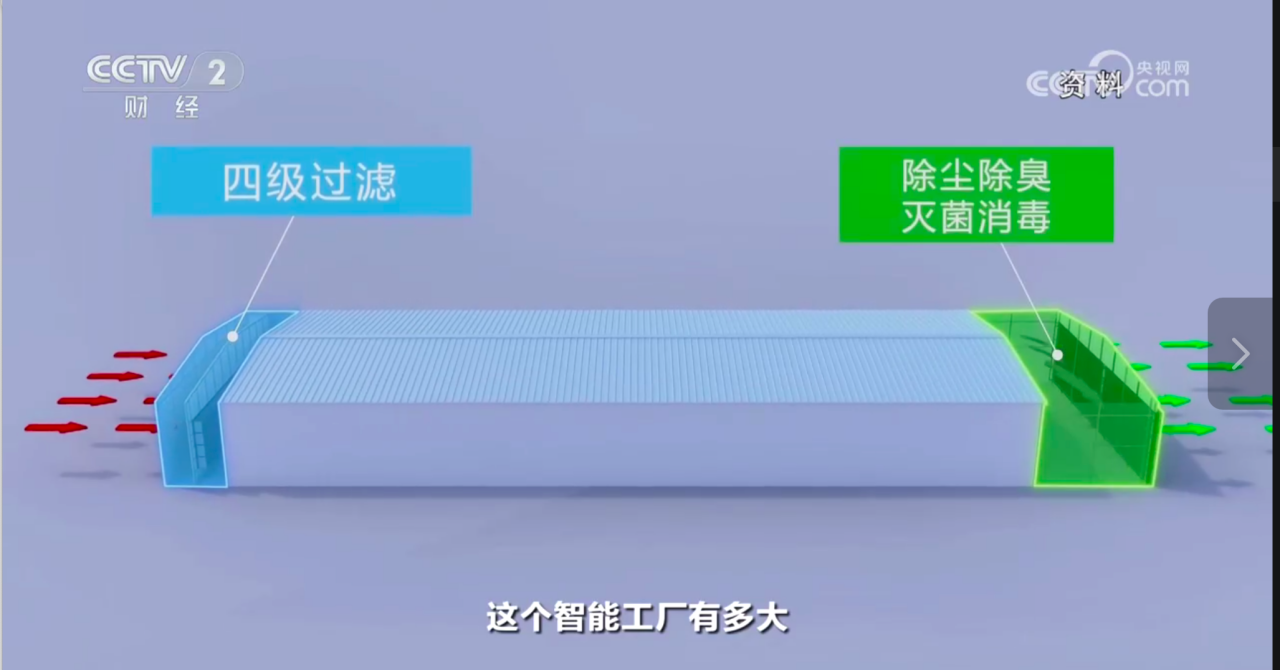 11.png