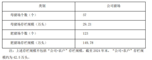 新五豐1.png