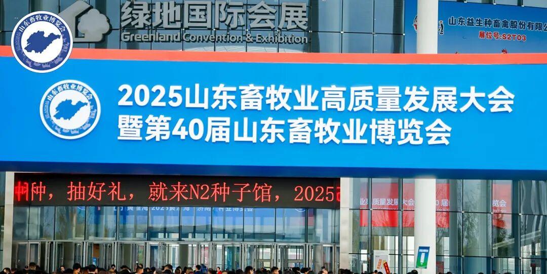 1764810025482709.jpg 1764810025482709.jpg